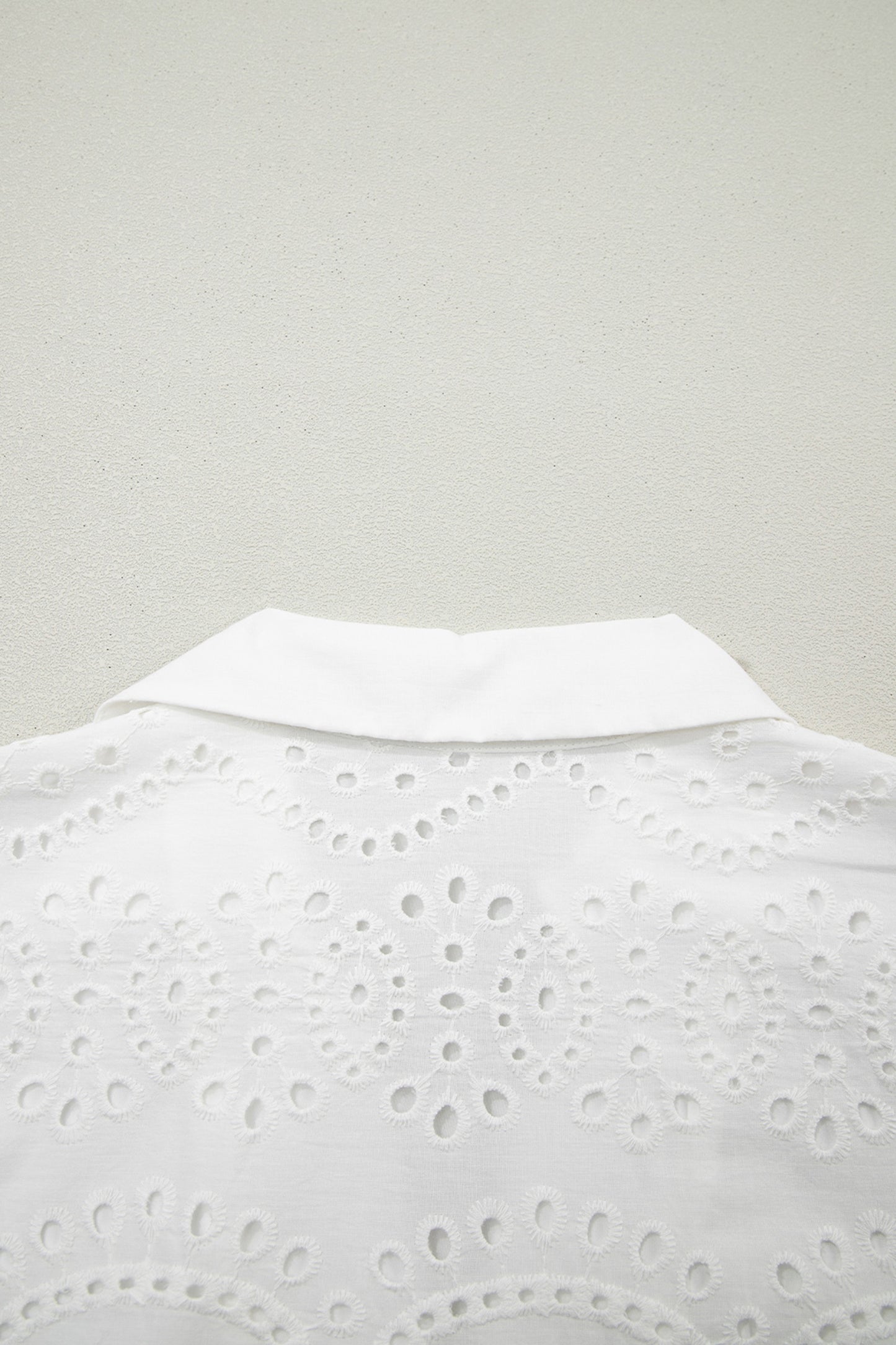 Solid Embroidered Eyelet Collared V-Neck Mini Dress