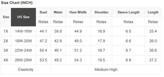 Plus Size Sheer Mesh Panel Short Sleeve Top