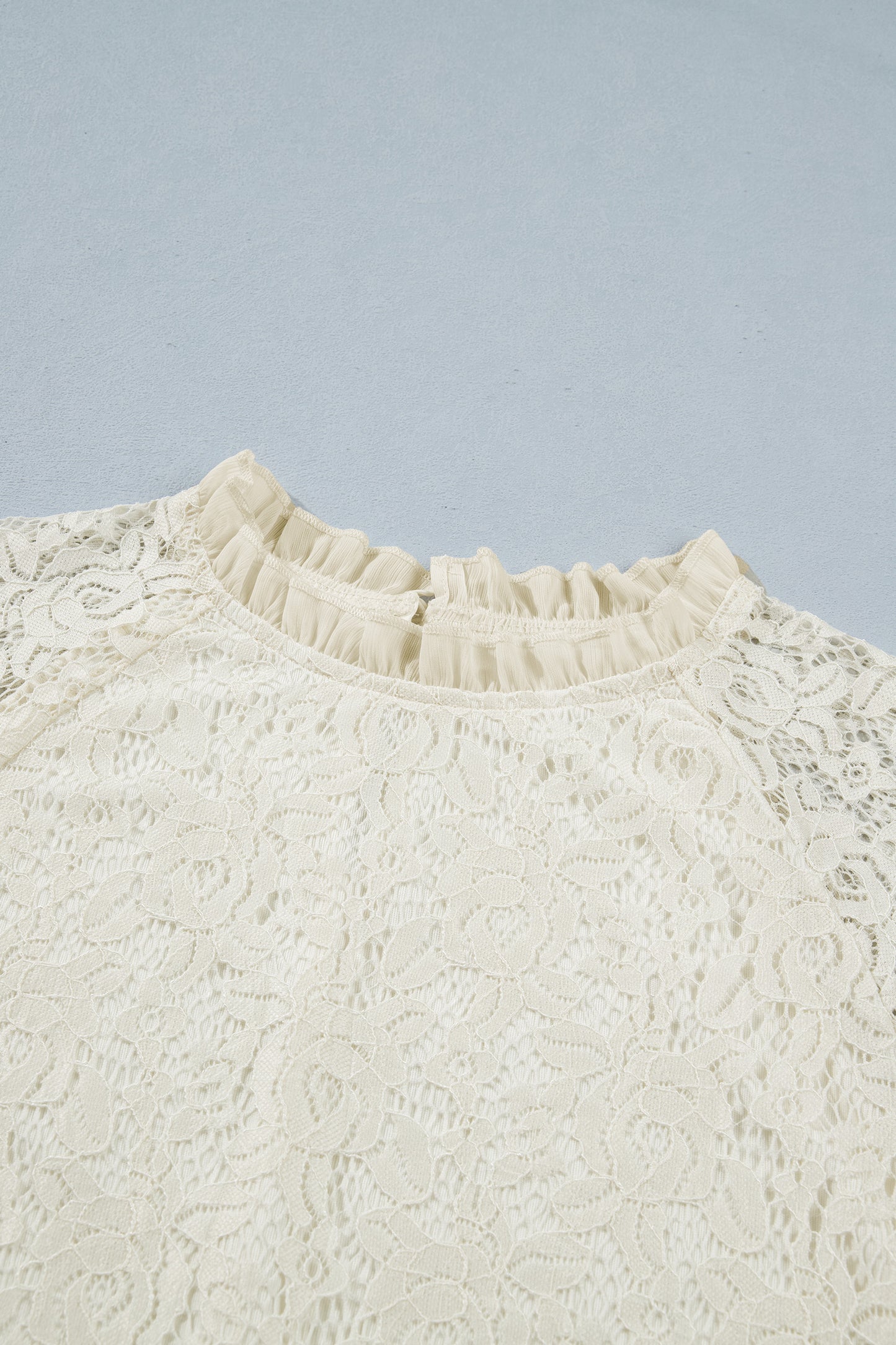 Sheer Lace Ruffle Trim Long Sleeve Blouse