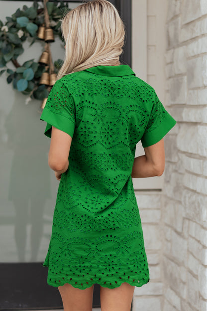 Solid Embroidered Eyelet Collared V-Neck Mini Dress