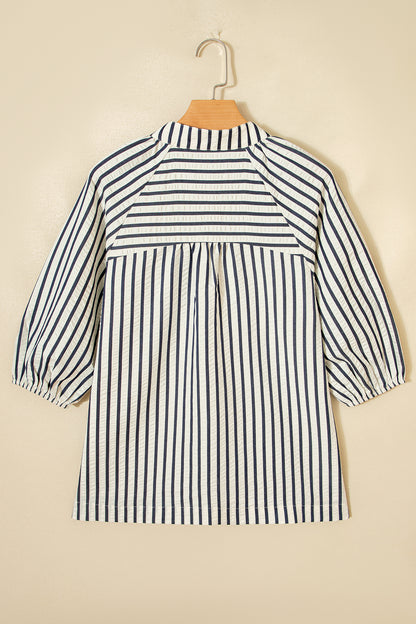 Stripe Floral Embroidered V-Neck 3/4 Sleeve Blouse
