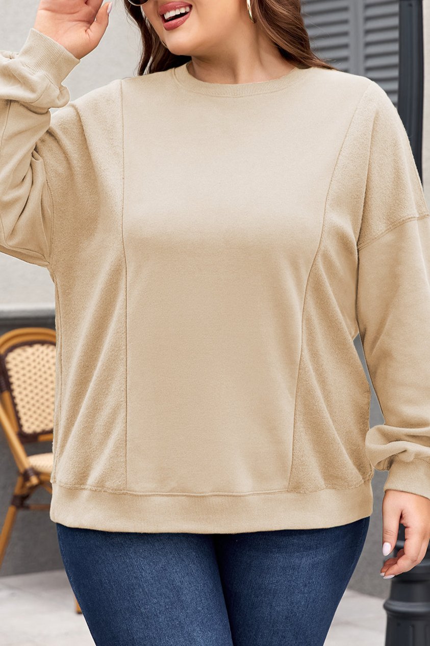 Patchwork Crewneck Sweatshirt Plus Size