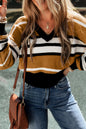 Stripe Cropped V-Neck Sweater