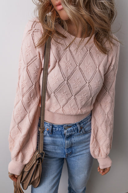 Pointelle Knit Puff Sleeve Sweater