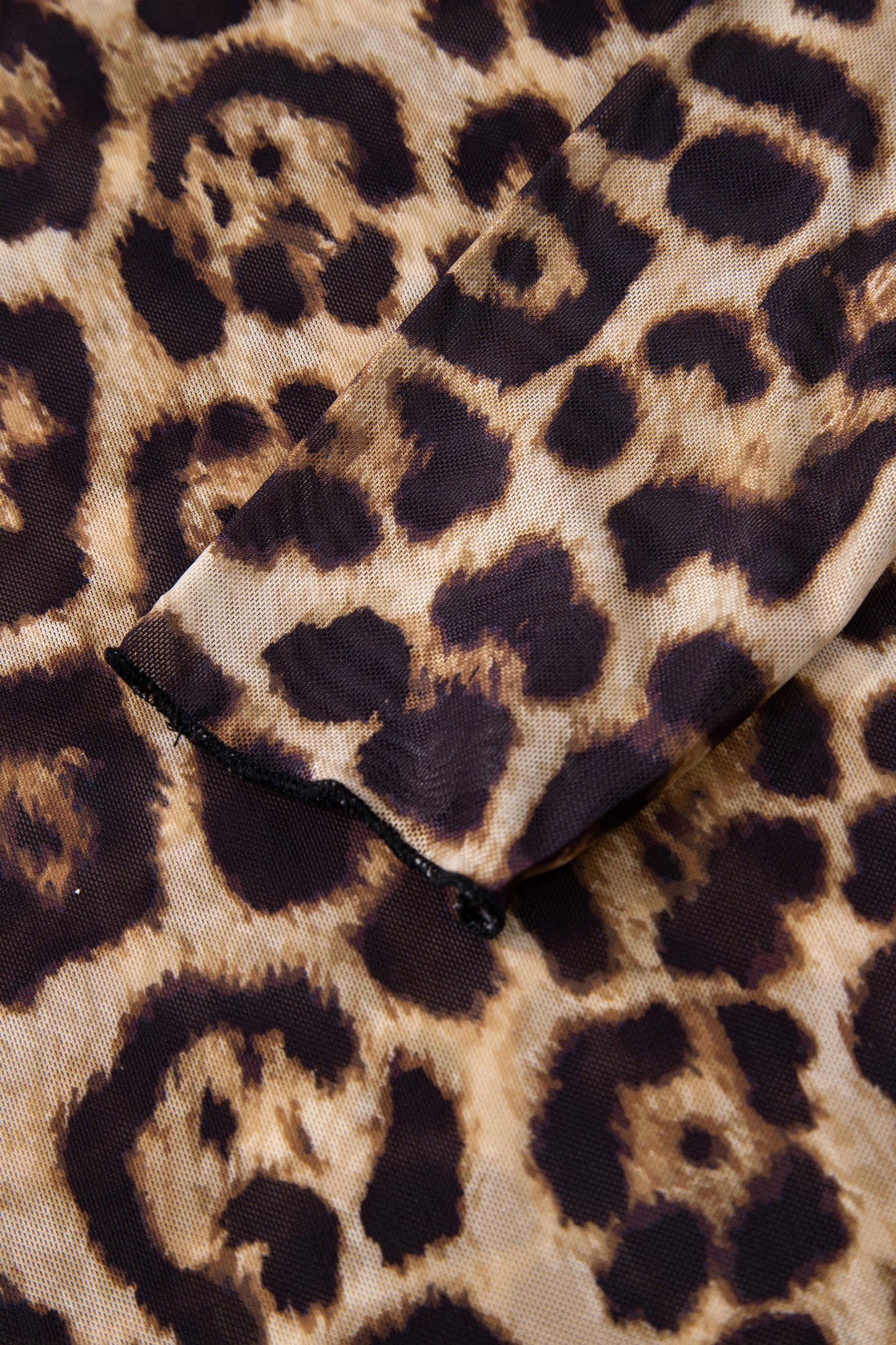 Leopard Mesh Mock Neck Long Sleeve Top