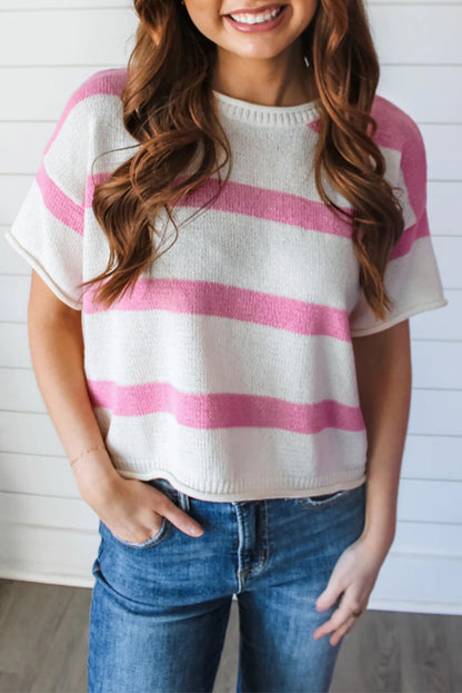 Stripe Short Sleeve Sweater Knit Top