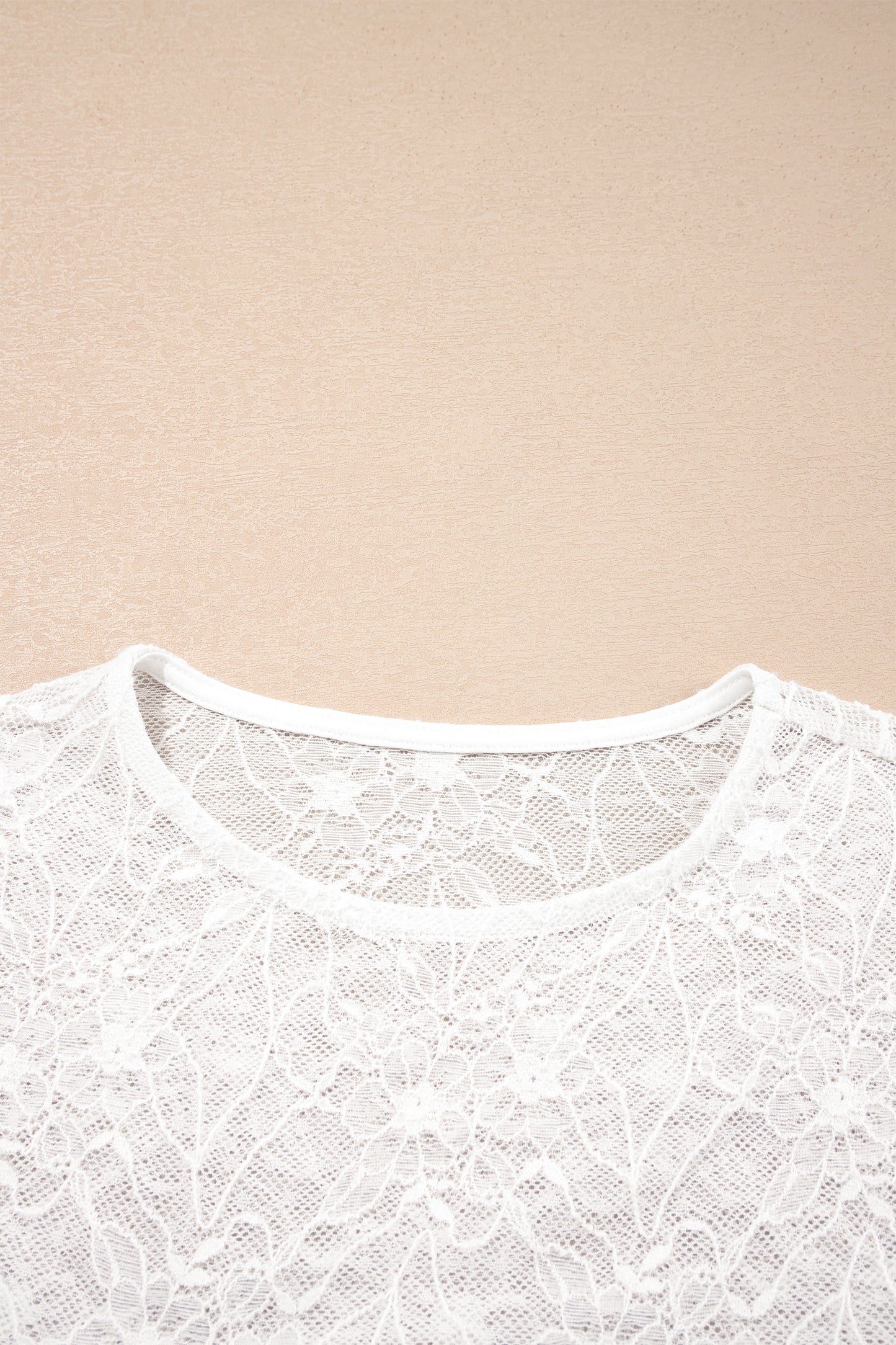 Sheer Lace Mesh Crew Neck Long Sleeve Top