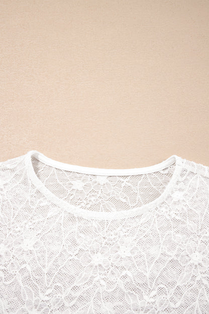 Sheer Lace Mesh Crew Neck Long Sleeve Top