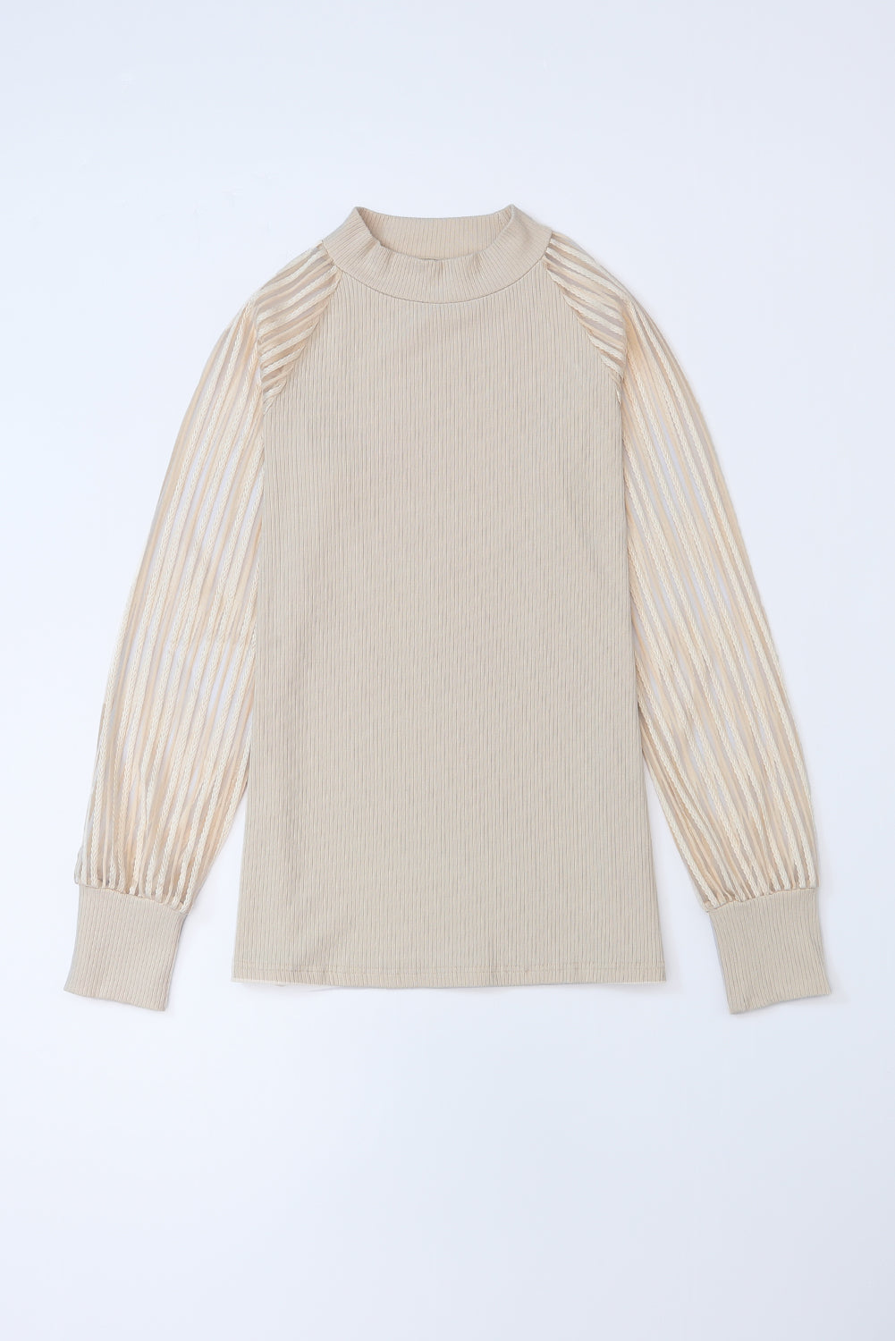 Stripe Ribbed Mesh Long Sleeve Crewneck Top