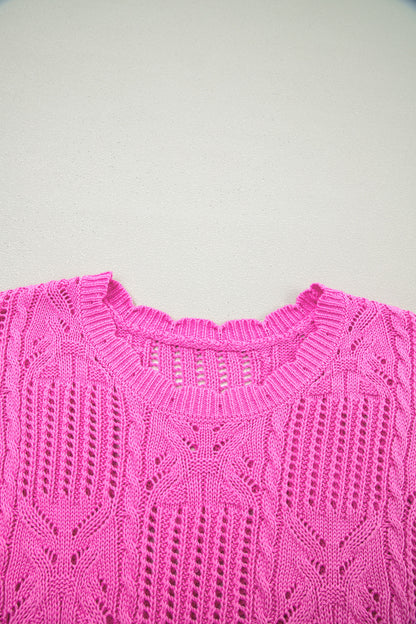 Pointelle Knit Scallop Trim Short Sleeve Sweater