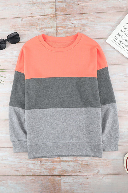 Colorblock Drop Shoulder Sweatshirt