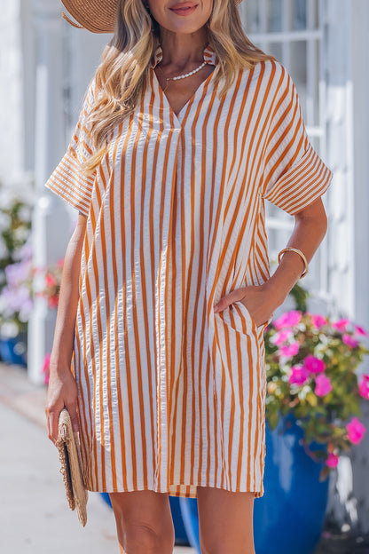 Stripe Pleated Frilled V-Neck Mini Dress
