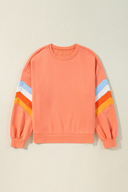 Rainbow Stripe Sleeve Crewneck Sweatshirt