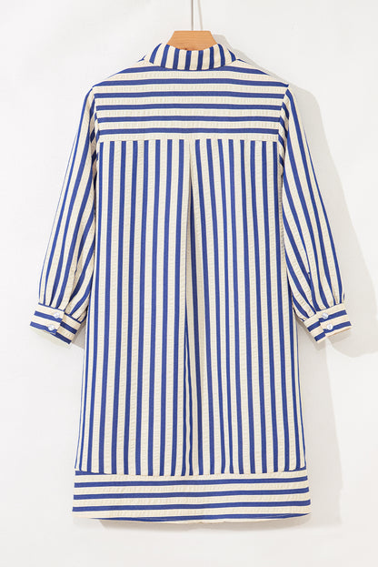Stripe Buttoned Collar Side Pockets Mini Dress