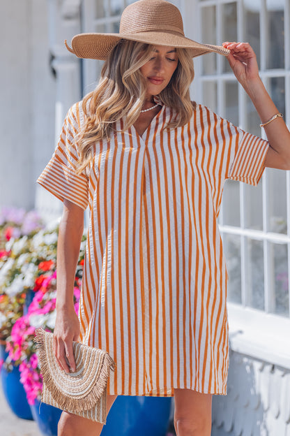 Stripe Pleated Frilled V-Neck Mini Dress