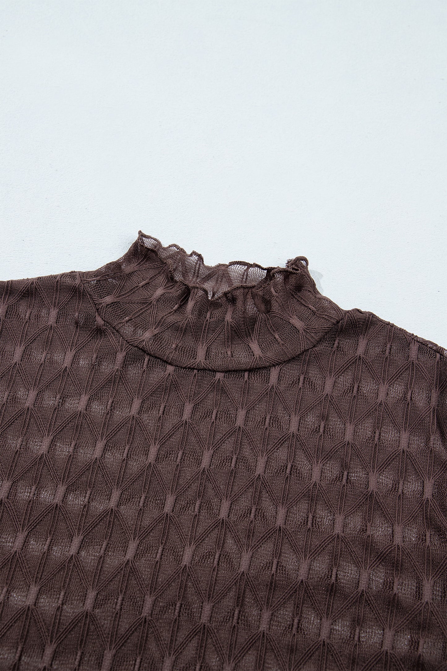 Solid Sheer Textured Lace Mock Neck Long Sleeve Top