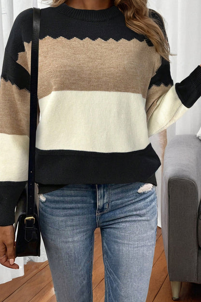 Colorblock Crew Neck Drop Shoulder Sweater