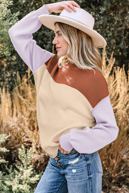 Colorblock Ribbed Knit Long Sleeve Sweater