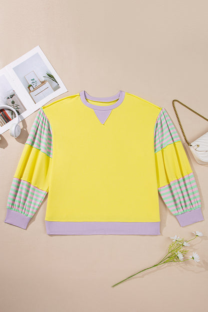 Plus Size Stripe Colorblock Patchwork Long Sleeve Crewneck Sweatshirt
