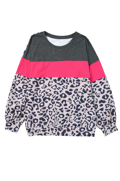 Leopard Colorblock Long Sleeve Top