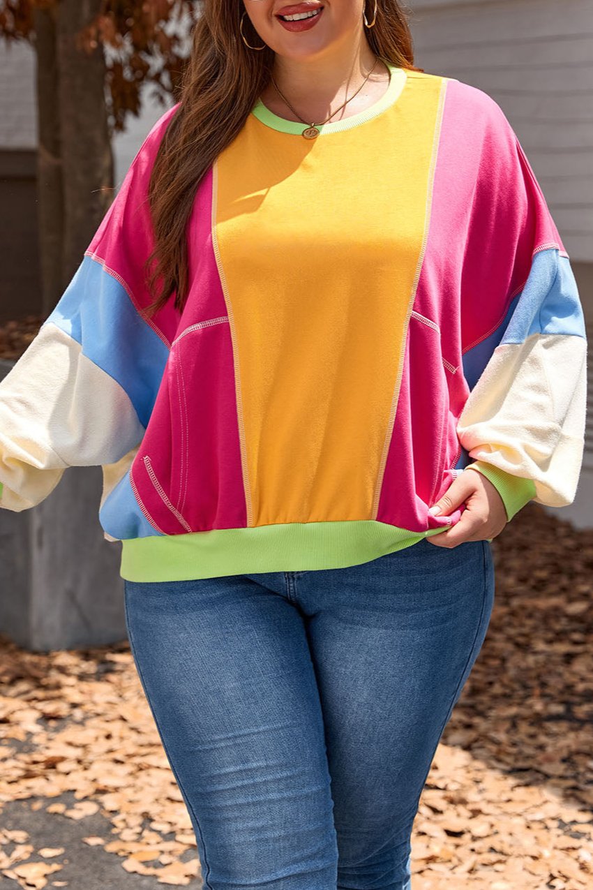 Colorblock Reverse Seam Sweatshirt Plus Size