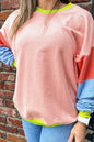 Colorblock Crewneck Sweatshirt Plus Size