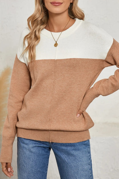 Colorblock Ribbed Trim Round Neck Sweater