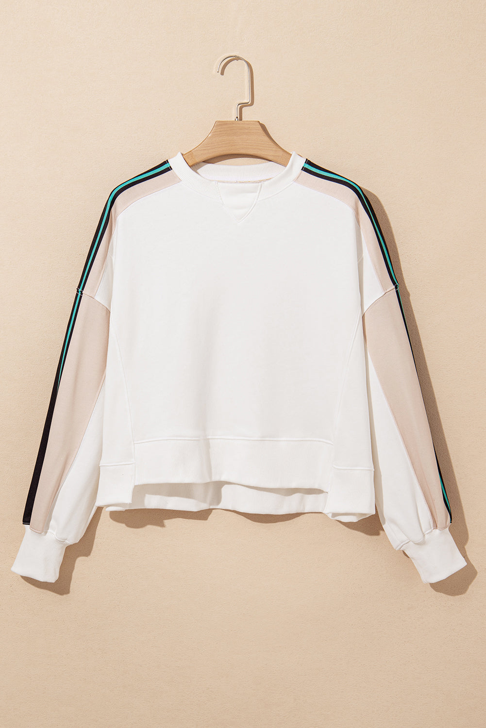 Stripe Colorblock Reverse Seam Sweatshirt