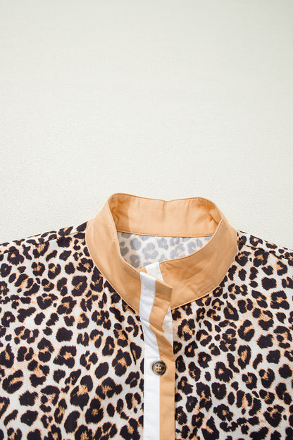 Leopard Stripe Collar Half Buttoned Flared Dress