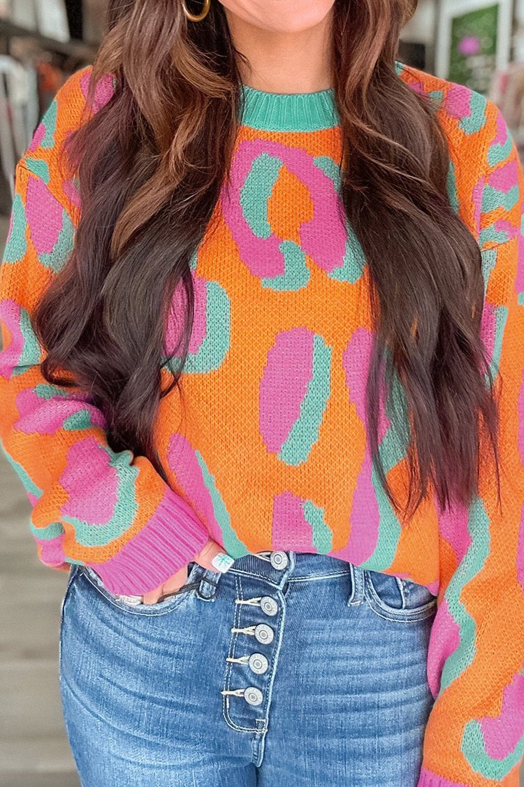 Leopard Colorblock Ribbed Trim Sweater