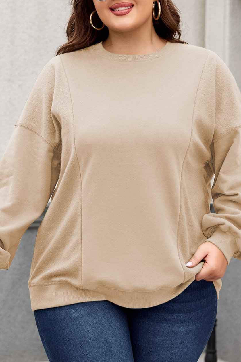 Patchwork Crewneck Sweatshirt Plus Size