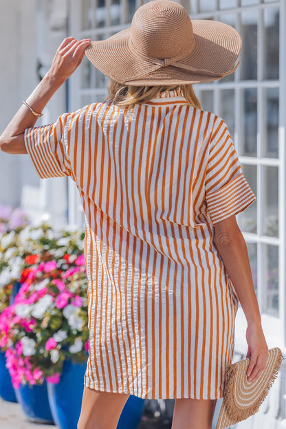Stripe Pleated Frilled V-Neck Mini Dress