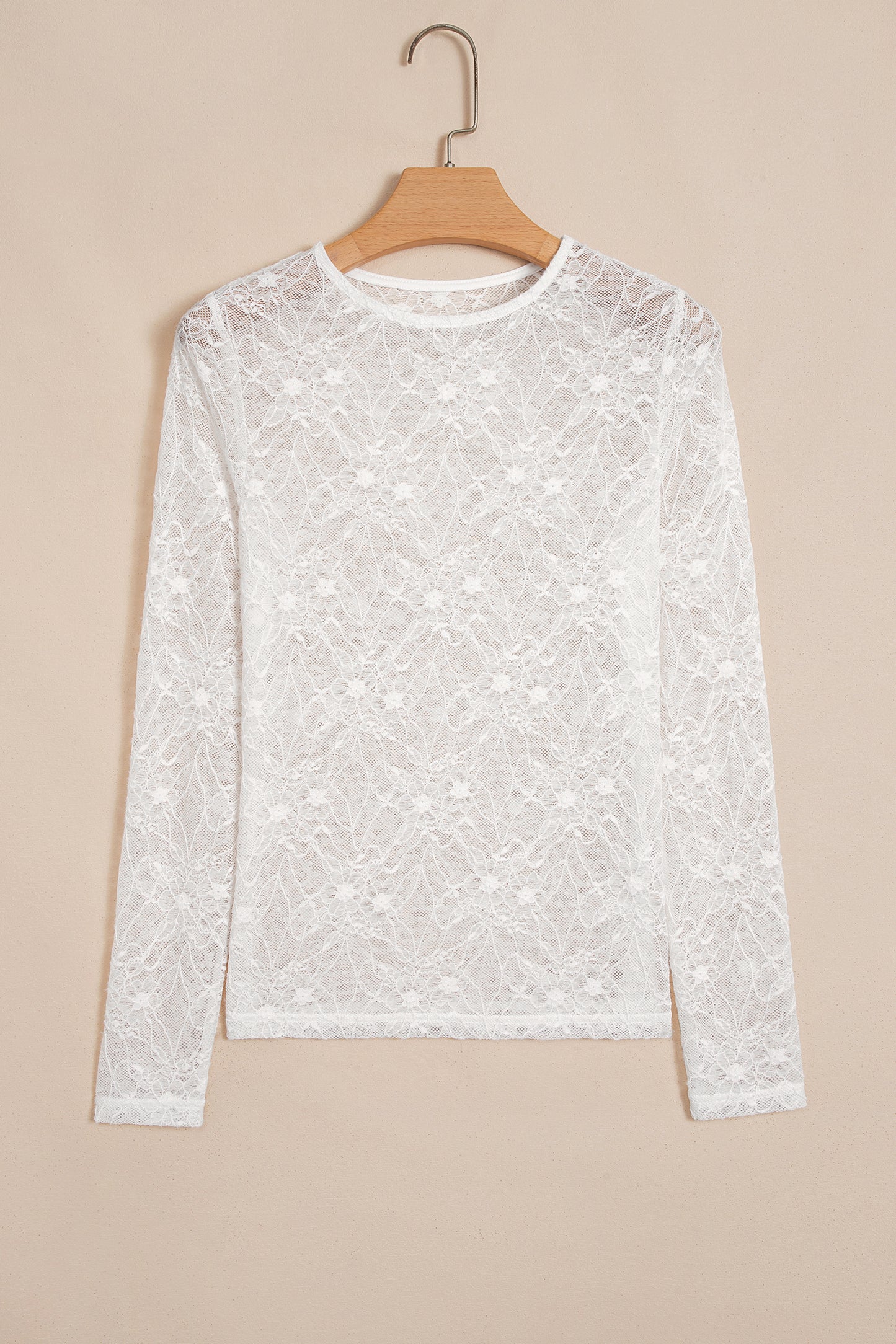 Sheer Lace Mesh Crew Neck Long Sleeve Top