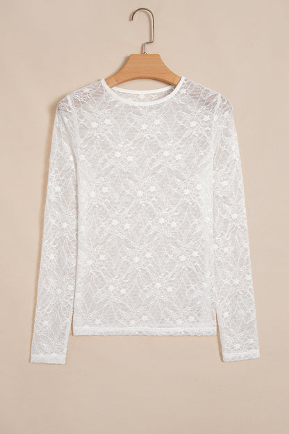 Sheer Lace Mesh Crew Neck Long Sleeve Top
