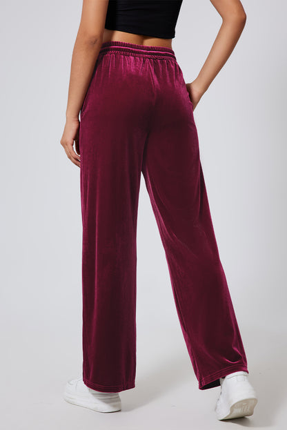 Solid Velvet Drawstring Waist Pants