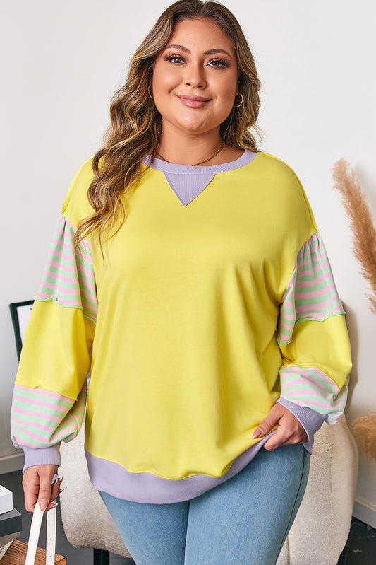 Plus Size Stripe Colorblock Patchwork Long Sleeve Crewneck Sweatshirt