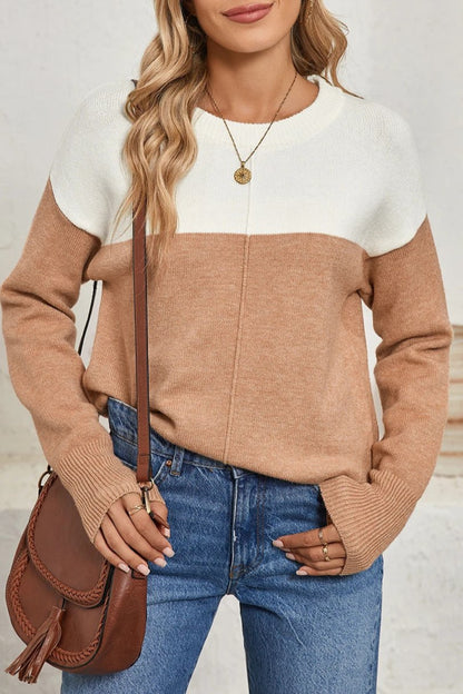 Colorblock Ribbed Trim Round Neck Sweater