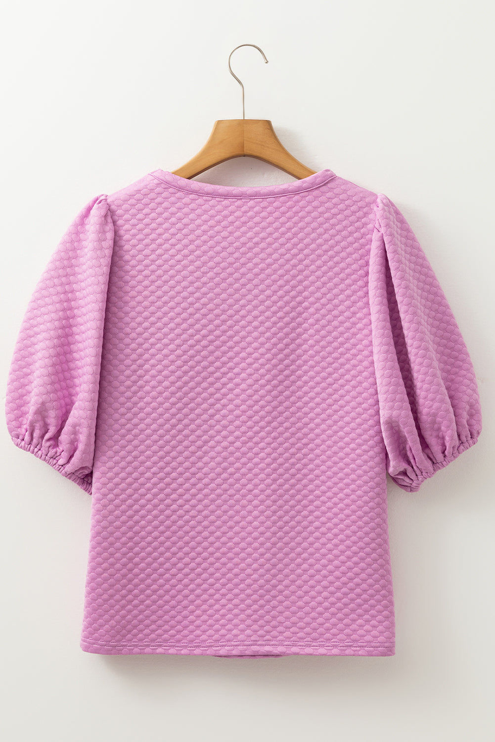 Solid Textured Round Neck Puff Sleeve Blouse