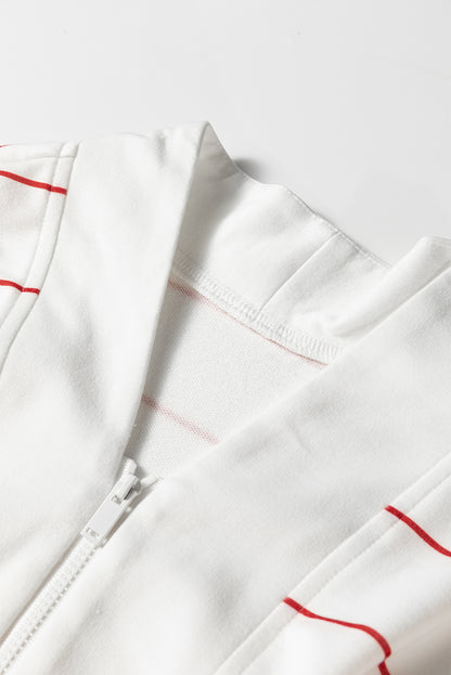 Stripe Zipped V-Neck Long Sleeve Top