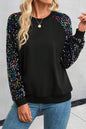 Sequin Raglan Sleeve Crewneck Sweatshirt