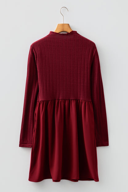 Ribbed Knit Patchwork Long Sleeve Dress