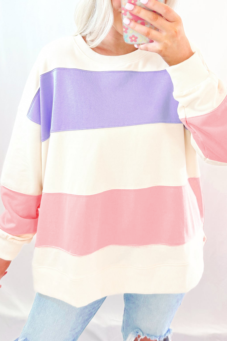 Colorblock Drop Shoulder Crewneck Sweatshirt