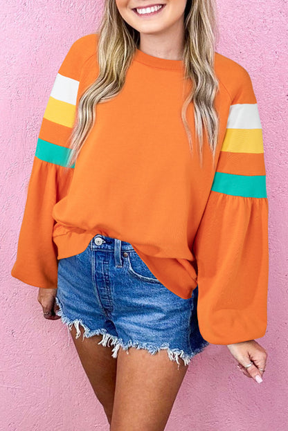 Colorblock Reverse Seam Sweatshirt