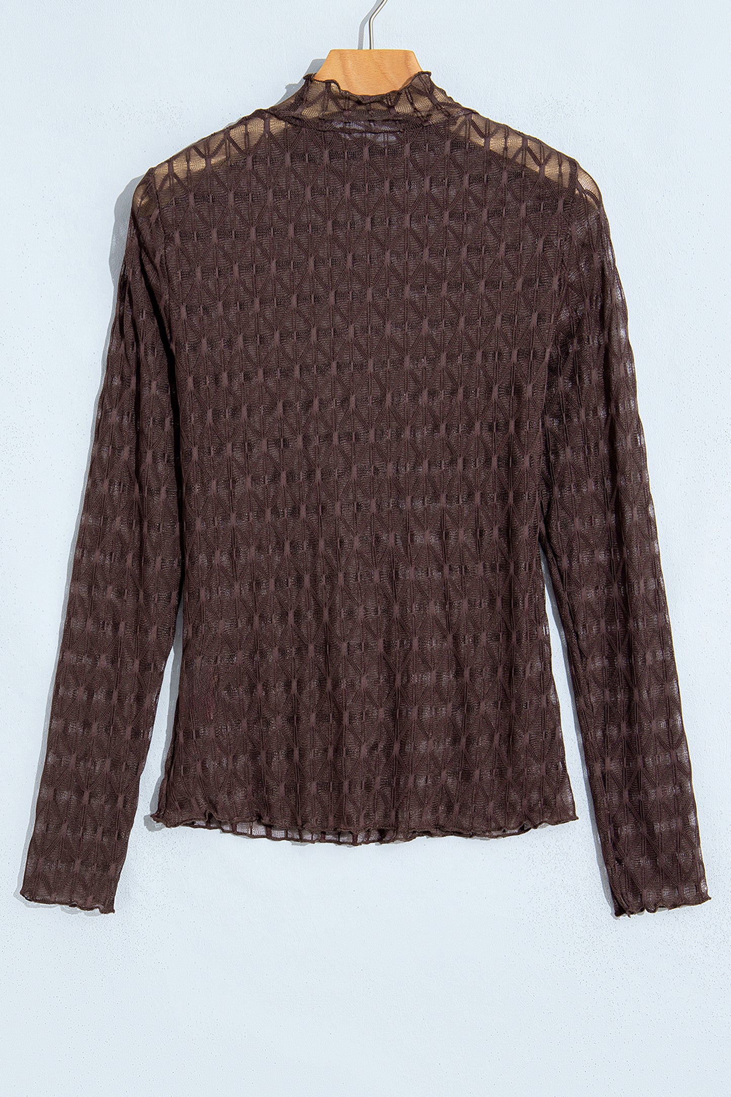 Solid Sheer Textured Lace Mock Neck Long Sleeve Top