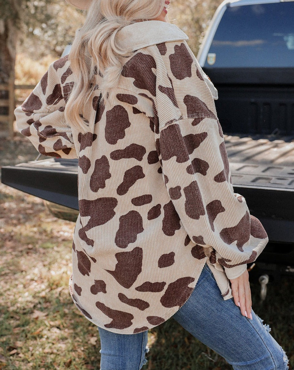 NEW! Cow Spots Printed Corduroy Shacket