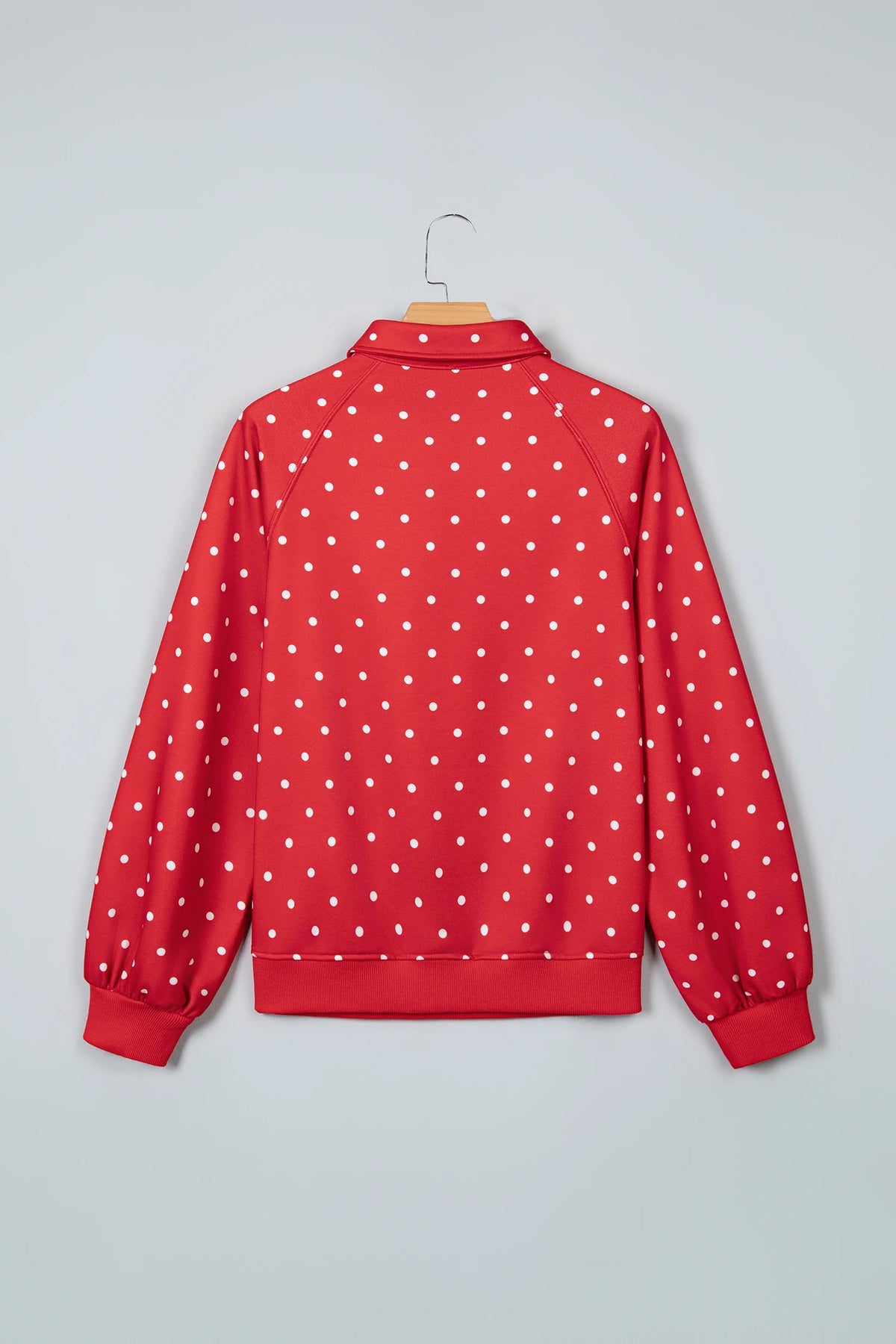 Polka Dot Buttoned Collar Long Sleeve Sweatshirt