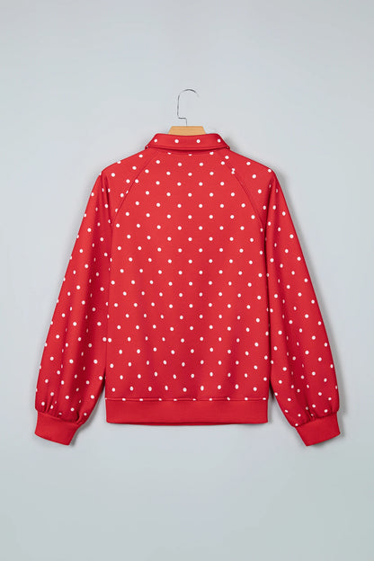 Polka Dot Buttoned Collar Long Sleeve Sweatshirt