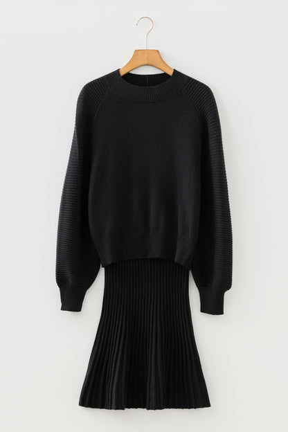 Solid High Neck Sweater and Pleated Mini Skirt Set