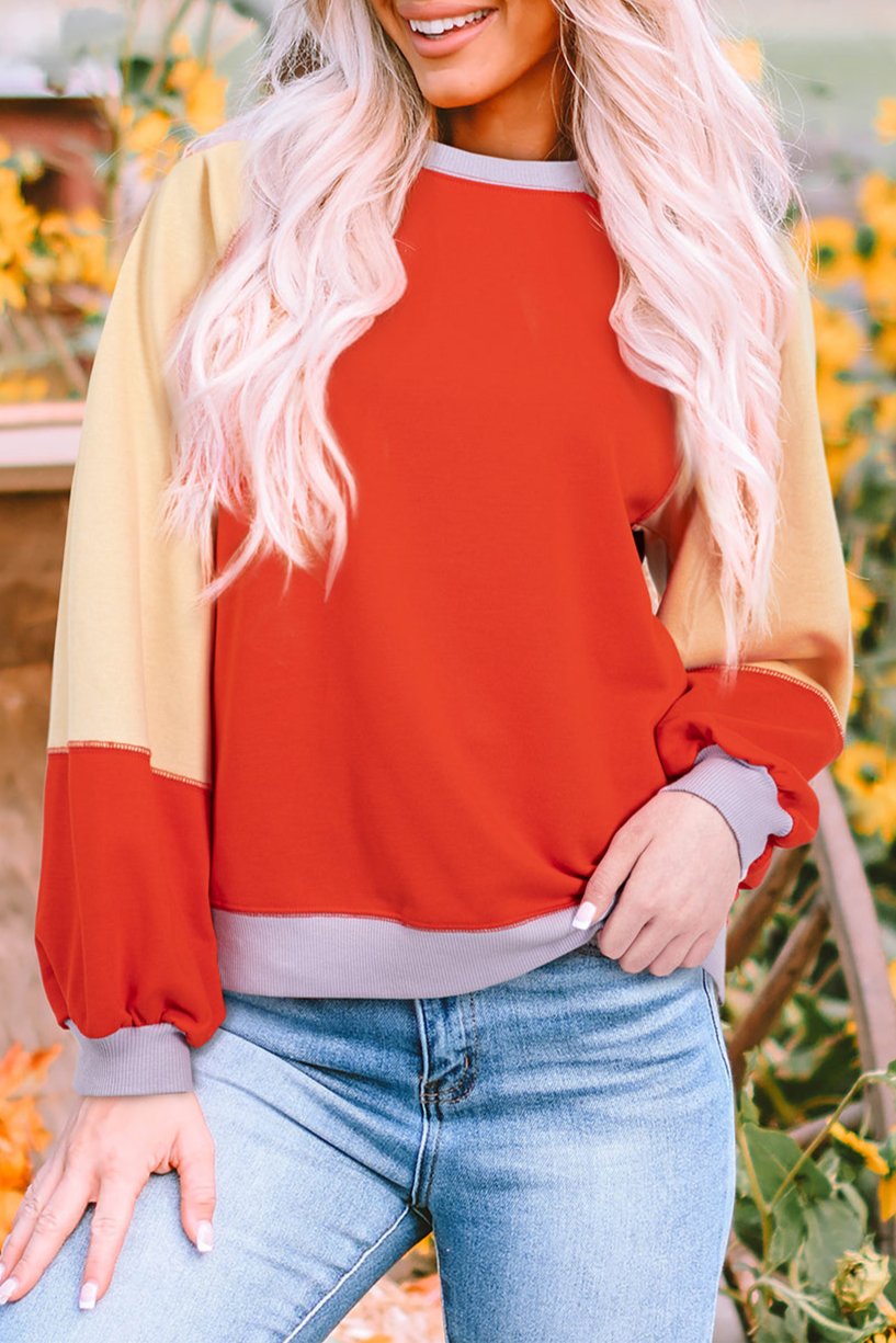 Colorblock Raglan Long Sleeve Top