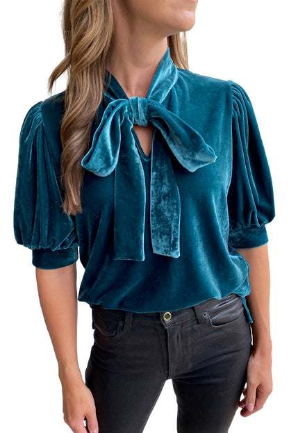 Velvet Bow Tie Neck Top